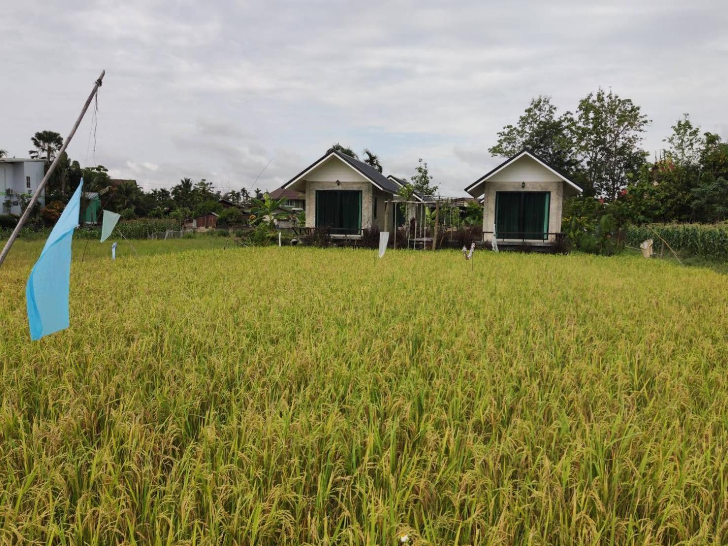 Vieng Pua Homestays Nan Esterno foto